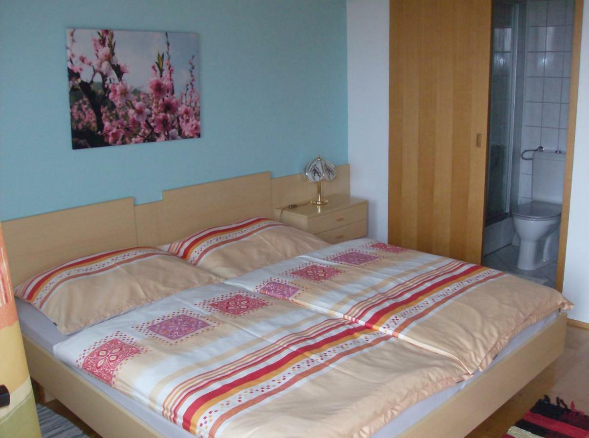 Appartamento Haus Renarth - Michaela Pro Kitzeck im Sausal Esterno foto